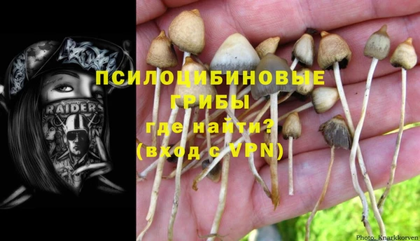 спиды Алексин